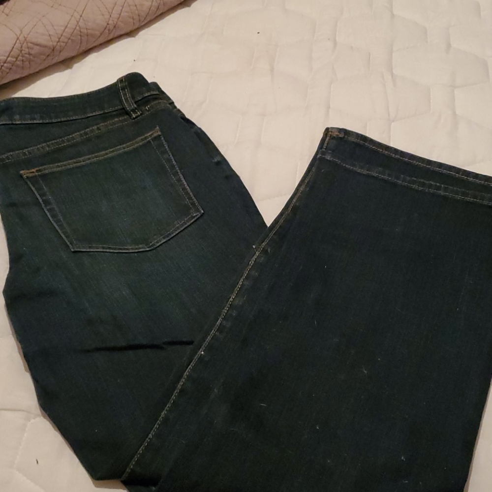 NWT Coldwater Creek jeans size P10